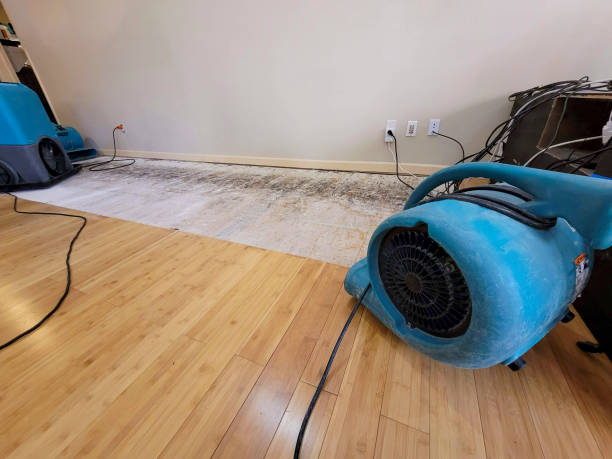 Professional Burst Pipe Water Damage technician working in Burlington, KS